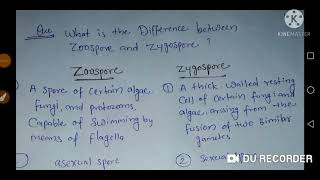 What is the difference between zoospore and zygospore [upl. by Savick]