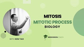 Mitotic Process [upl. by Langelo296]