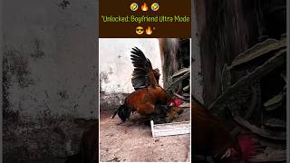 quotFunny Rooster Moments  King of the Coop 🐓😂🔥quot shorts funnyrooster animalcomedy animalhumor [upl. by Grimes690]