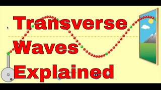 transverse waves explained [upl. by Hales]