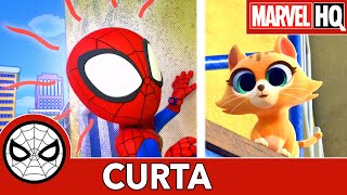 Spidey e Seus Amigos Espetaculares SOS Gatinho [upl. by Adnawyt]