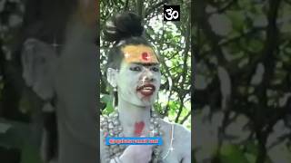 🙏 Om nomo shivay 🙏 mahakal shorts viralvideo [upl. by Llerrej]