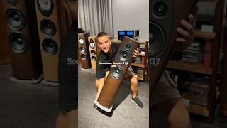 Sonus faber Sonetto III G2 unboxing audiocostruzioni sonetto sonusfaber [upl. by Anelas]