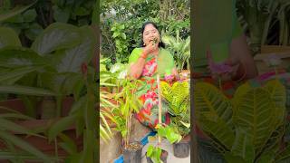 RRR Nursery Part12 comedy shorts richakka [upl. by Nandor]