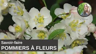 Savoirfaire  Les Malus pommiers à fleurs [upl. by Legna]