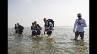 Mudflat Hiking in The Wadden Sea  Around The World [upl. by Pinelli]