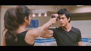 Don 2 Full Movie Review amp Fact  Shah Rukh Khan  Priyanka Chopra  Lara Dutta  Boman Irani [upl. by Hoye]