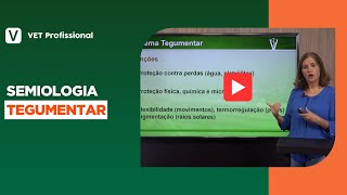 Semiologia Veterinária  Sistema Tegumentar em Cães e Gatos [upl. by Garlinda]