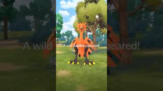 3000 CP Galarian Zapdos Encounter In Pokemon Go But Did I Catch It shorts pokemon [upl. by Lloyd583]