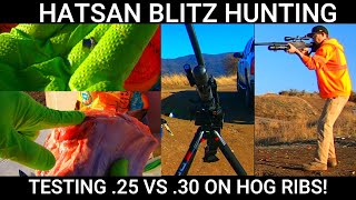 AIRGUN HUNTING HATSAN BLITZ EXPLORED HOG HUNT EXPERIMENT TESTING 25 VS 30 SEMI amp FULL AUTO PCP [upl. by Ishmul]