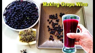 How To Make Grape Wine at Home  Homemade Red Wine Recipe  Craft Village [upl. by Dominique221]