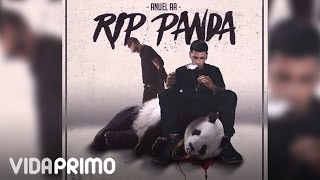 Anuel AA  RIP Panda ft Arcangel Official Audio [upl. by Clance]