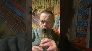 Penny Whistle Playtime 9 pennywhistle tinflute fun [upl. by Otrevlig353]