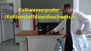 Kalkwasserprobe Kohlenstoffdioxidnachweis [upl. by Cresida278]