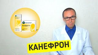 КАНЕФРОН Инструкция по применению лекарства для почек и состав [upl. by Joo]