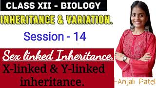 Class XII Biology  Inheritance and Variation  Sex linked Inheritance  X amp Y linked inheritance [upl. by Airbas444]