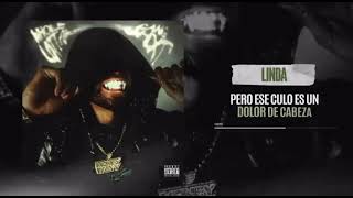 YOVNGCHIMI X AMARION  Linda  Oficial Vizualizer [upl. by Anura]