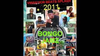 BONGO JAMZ MIXED BY VIBRATION BEATS PRODUCTIONS wmv [upl. by Duff511]