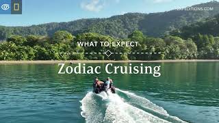 What to Expect Zodiac Cruising  Lindblad Expeditions [upl. by Nyberg]