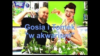 Gosia i Tomek quotw akwariumquot Część 3 tworzenie aranżacji z kamieni i korzeni [upl. by Imarej715]