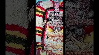 6 October 2024 Sri Bra manda Nayaka Simha Vahana Darshanam 🙏 shorts  Short video [upl. by Zennas]