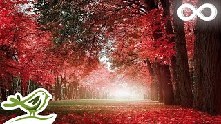 30 Minutes of Beautiful Romantic Music Guitar Music Violin Music Cello Music Piano Music ★74 [upl. by Atela]