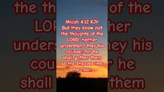 Micah 412 bibleverse apttmh [upl. by Noma]