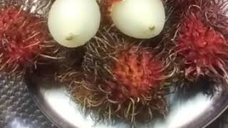 Rambutan or Nephelium Lappaceum [upl. by Essej]