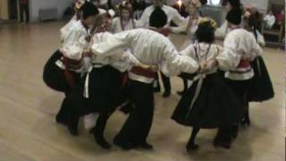 Ukrainian Folk Dance Kolomeyka [upl. by Aveer75]