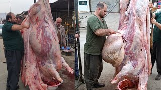 How to Skin a Beef Cow and Remove the Hide  Pro Secrets Skinning a Beef Cow and Removing the Hide [upl. by Quartet781]