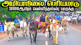 புதுக்கோட்டைமா அழியாநிலை பெரியமாடு பந்தயம் [upl. by Odlanor291]