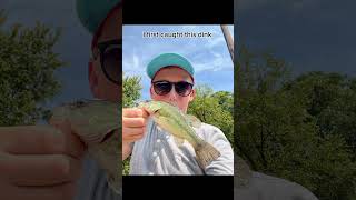 What will I catch fishing at The des plaines river trending relatable fishing music bass [upl. by Ablem]