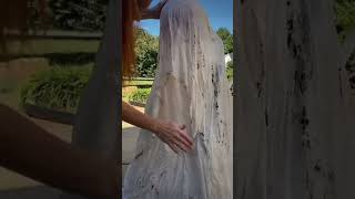 2022 cheesecloth ghost 2023 coming soon diy halloween halloweendiy ghost cheesecloth spooky [upl. by Nolyar222]