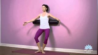 Anita Seiz Pilates Standing Pilates Repertoire with the Foam Roller [upl. by Yaned697]