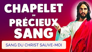 🙏 CHAPELET du PRÉCIEUX SANG 🩸 Sang du Christ SAUVEMOI [upl. by Saltsman]