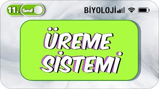 11 Sınıf Biyoloji Üreme Sistemi TEK VİDEODA KONU ANLATIMI ✍️ [upl. by Atilam999]