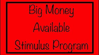 Big Money Available with this Stimulus Program PPP [upl. by Adeirf829]