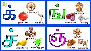 மெய் எழுத்துக்கள்க் ன்  Mei Eluthukkal  Tamil Letters Tamilarasi [upl. by Ailsa821]