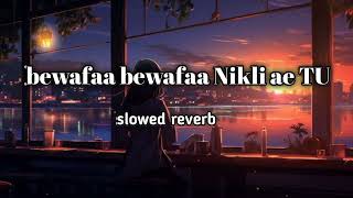 Bewafaa bewafaa Nikli ae TU new lofi song slowed reverb 2024 [upl. by Aneehta220]