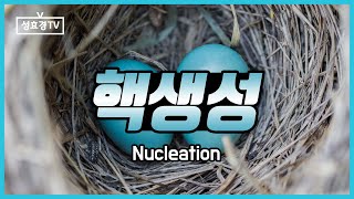 핵생성 Nucleation [upl. by Vola687]