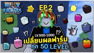 EP2 ฟาร์มLv 5001000 โดยเปลี่ยนผลทุก 50 Level  Bloxfruit ตามคำขอ [upl. by Acirre635]