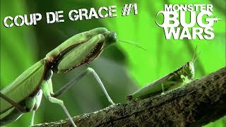 MONSTER BUG WARS  Coup De Grace Collection 1 [upl. by Atiekram]