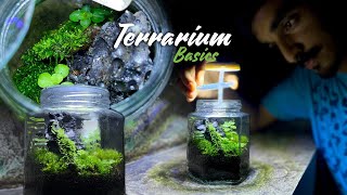 ചില്ല് കുപ്പിക്കുള്ളിലെ മിനി ഫോറെസ്റ്റ്  Terrarium Guide diy [upl. by Caprice]