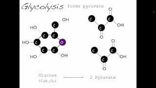 How Lactic Acid Works to Help Manage Dry Skin Associated with Keratosis Pilaris [upl. by Irem]