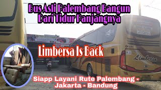 Bangun Dari Tidur Panjangnya ‼️ Kini Po Limbersa Kembali Melayani Rute Palembang  Bandung 😱😱😱 [upl. by Akelahs]