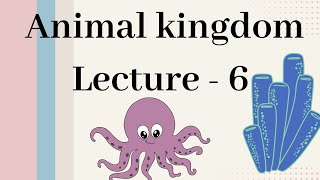 Ctenophora  Animal kingdom Lecture  6 [upl. by Jea]