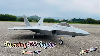 Freewing F22 Raptor 90mm EDF 遙控飛機 苗栗飛場 [upl. by Ybbob]