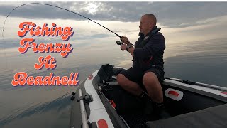 SIB Fishing UK EPIC Fishing Frenzy at Beadnell Lures amp bait catching COD [upl. by Verge269]