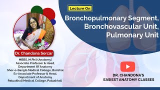 Lecture On Bronchopulmonary Segment Bronchovascular unit And Pulmonary Unit [upl. by Yarw]