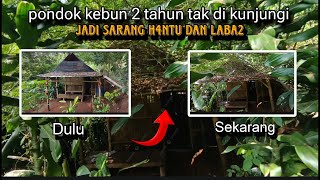 VIDEO PERJALANAN MENUJU PONDOK KEBUN TENGAH HUTANKAGET‼️SEPERTI INI SEKARANG KONDISI NYA [upl. by Kirt]